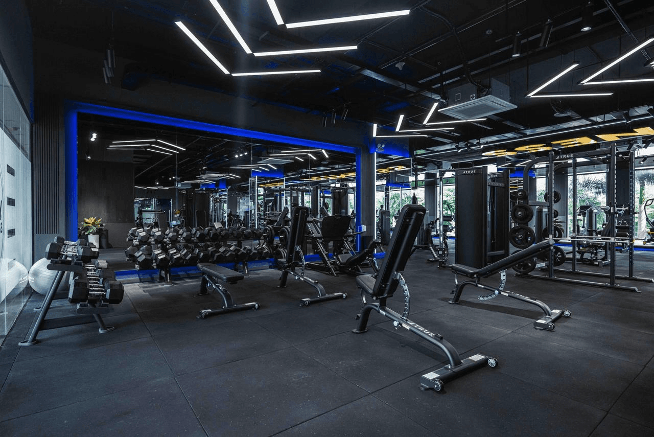 Gyms & Studios